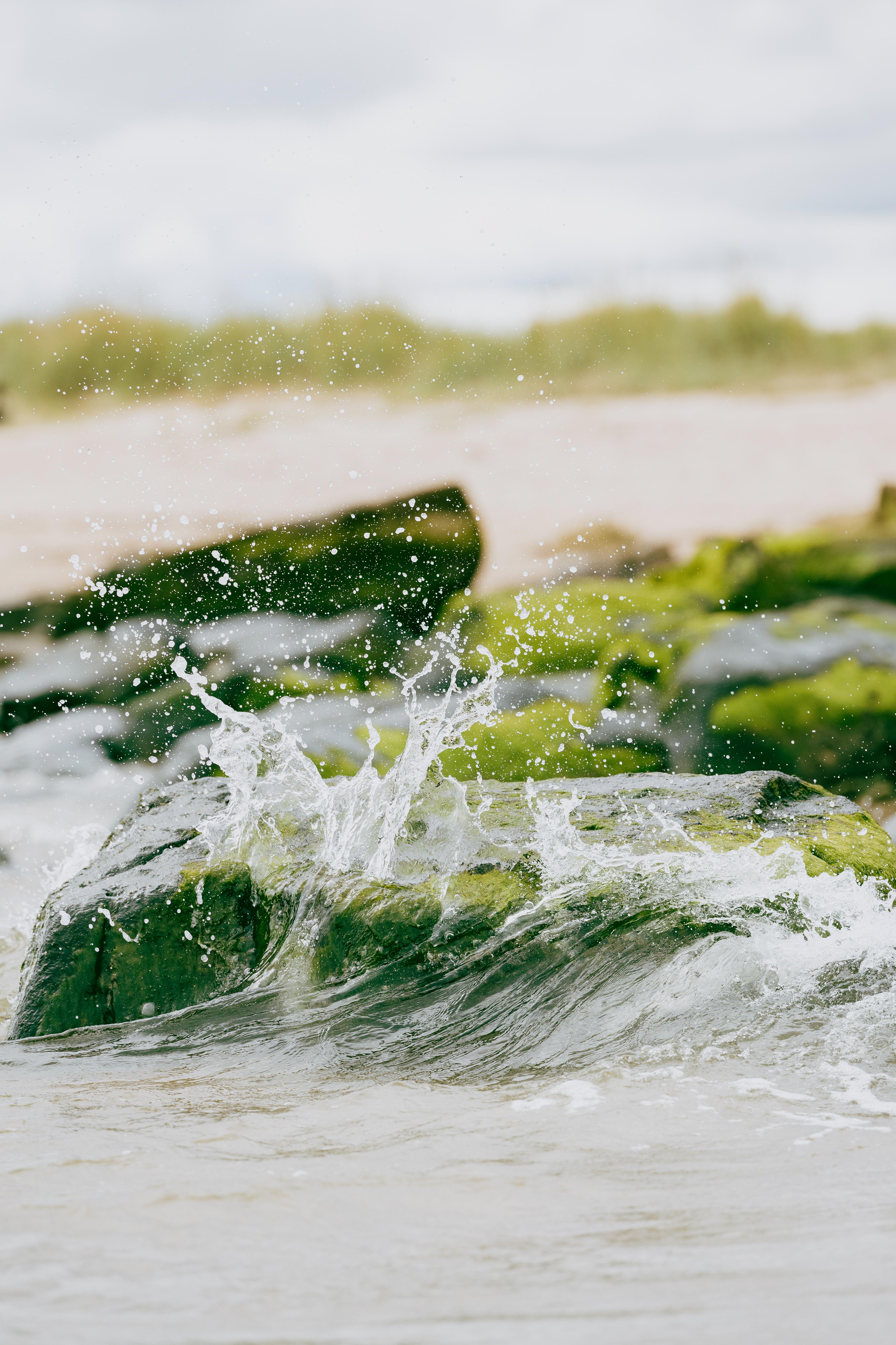 Dornoch Station Hotel Ngoại thất bức ảnh Seaweed
