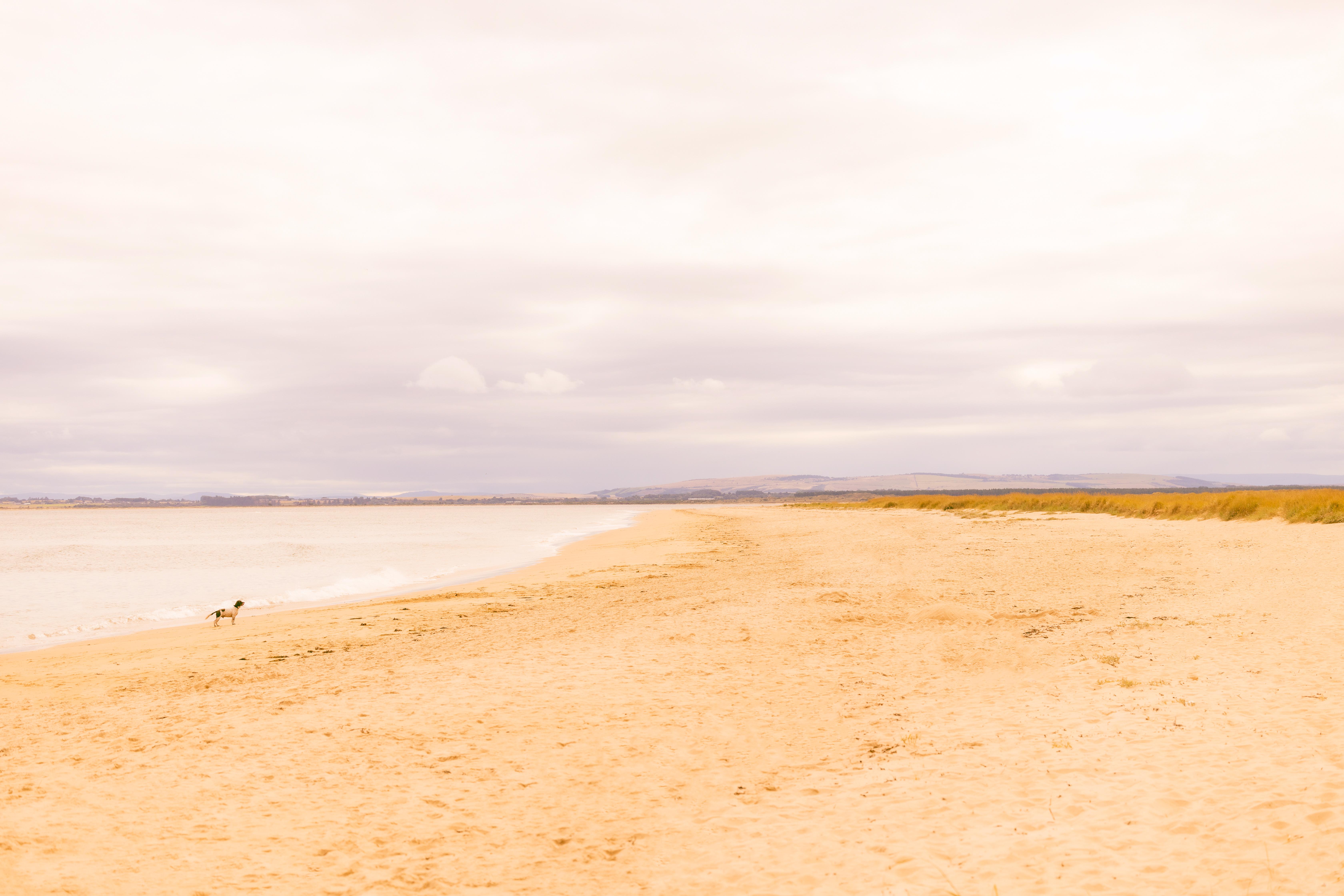 Dornoch Station Hotel Ngoại thất bức ảnh The beach at West Bay
